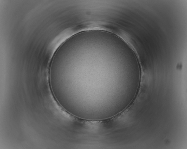 X0000111830813200907301318