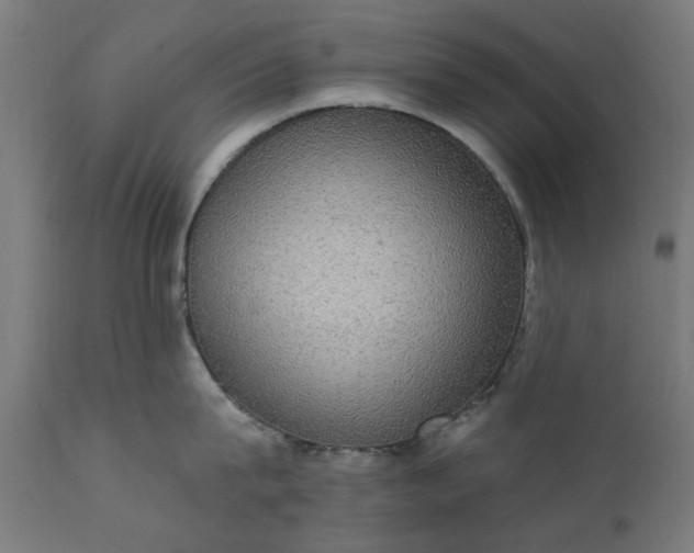X0000111830815200907301318