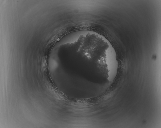 X0000111830818200907301317