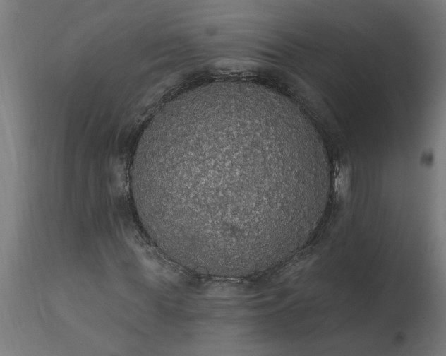 X0000111830819200907301317