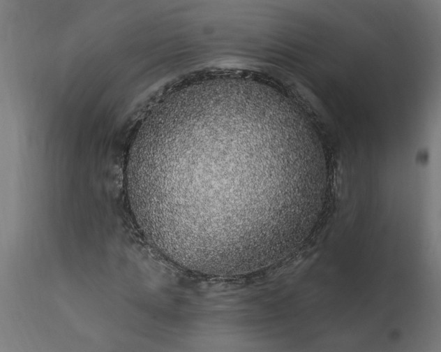X0000111830821200907301317