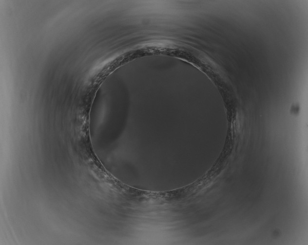 X0000111830822200907301317