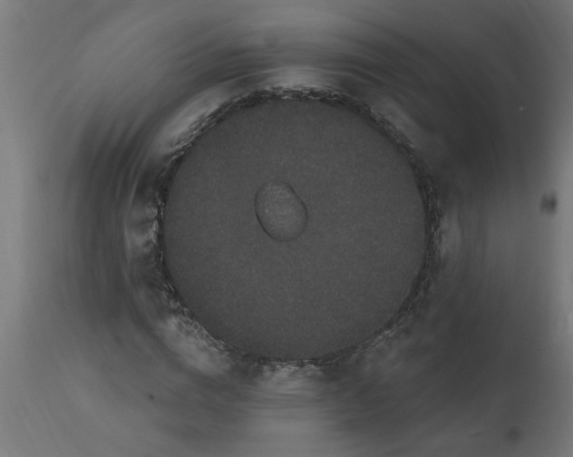 X0000111830824200907301317