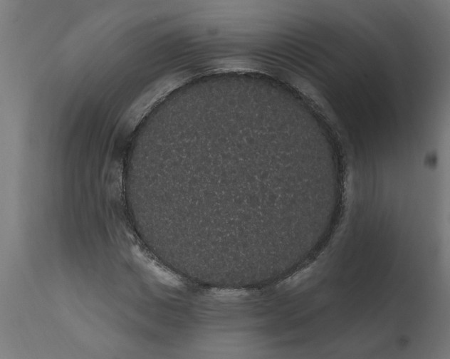 X0000111830825200907301317