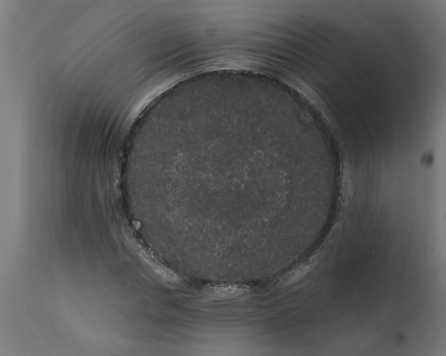 X0000111830826200907301317