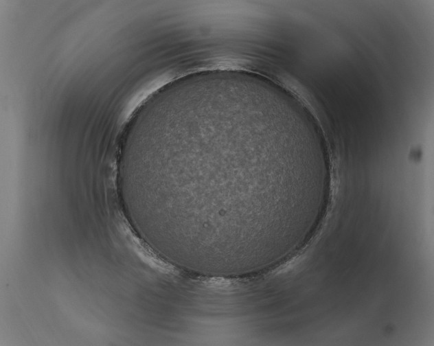 X0000111830827200907301317