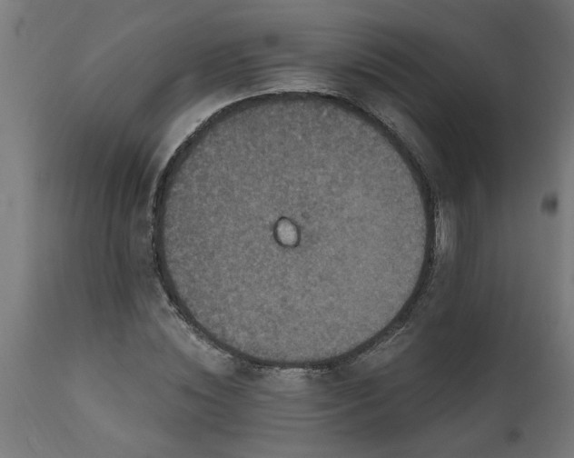 X0000111830828200907301317