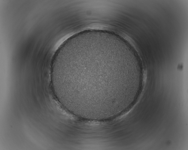 X0000111830829200907301317