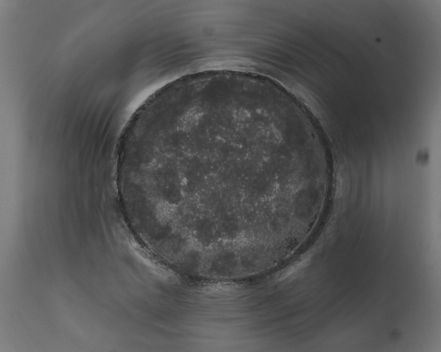 X0000111830830200907301317
