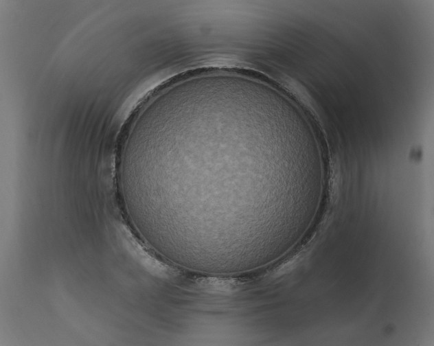 X0000111830831200907301318