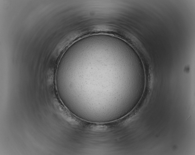 X0000111830833200907301318