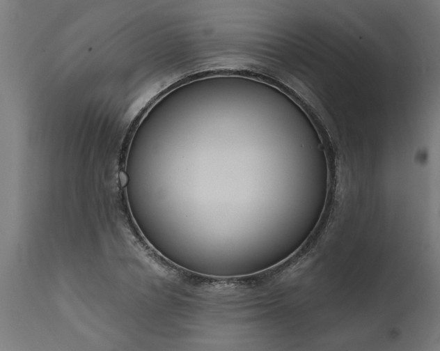 X0000111830834200907301318