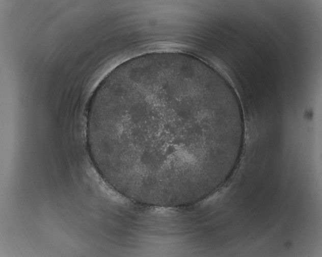 X0000111830835200907301318