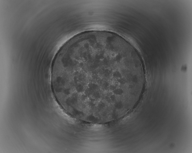 X0000111830839200907301318