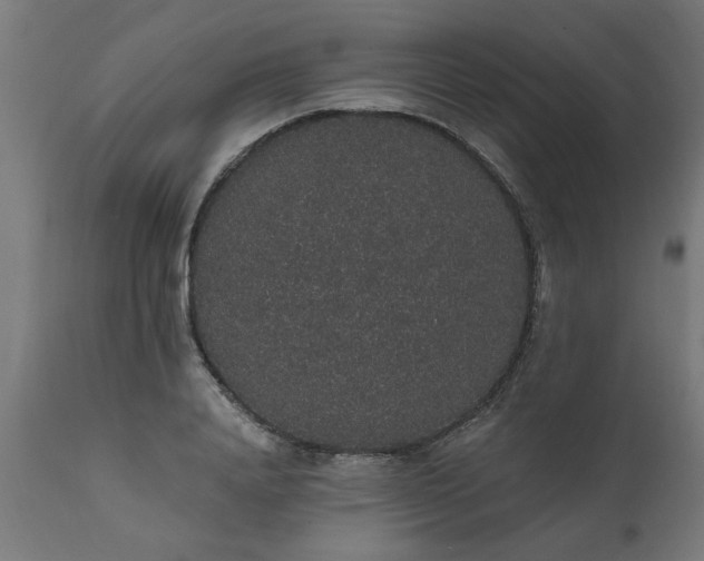 X0000111830840200907301318