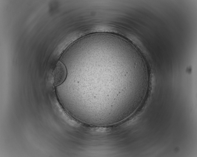 X0000111830841200907301318