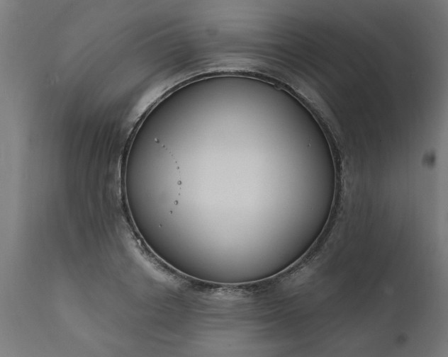 X0000111830842200907301318