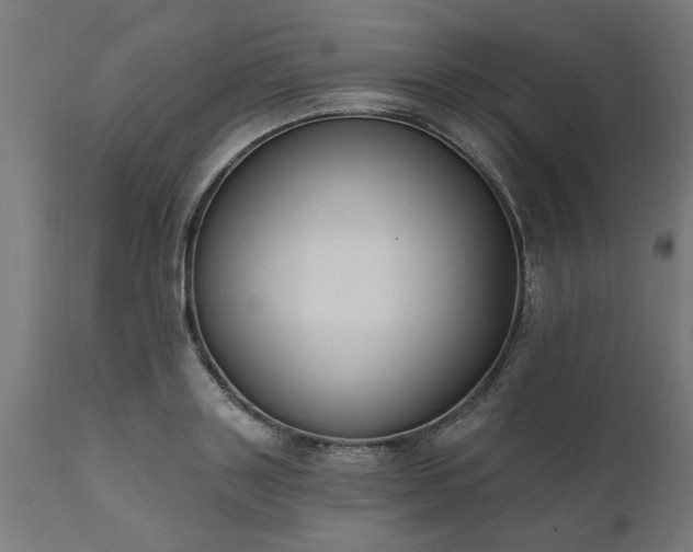X0000111830843200907301318