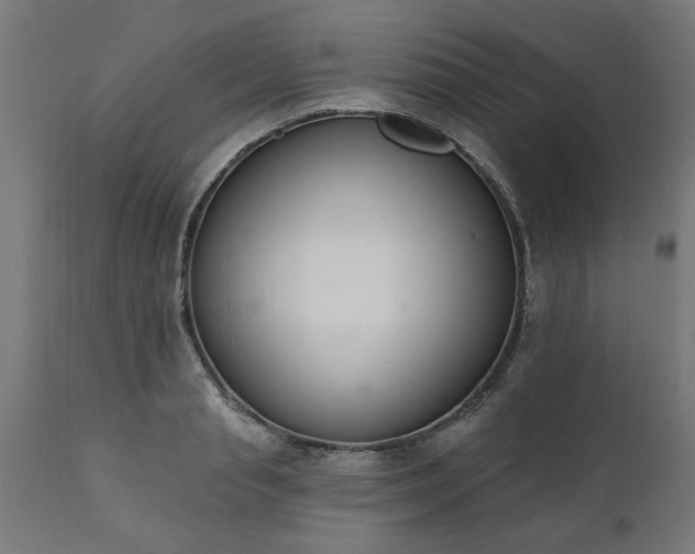 X0000111830845200907301318