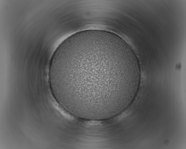 X0000111830846200907301318