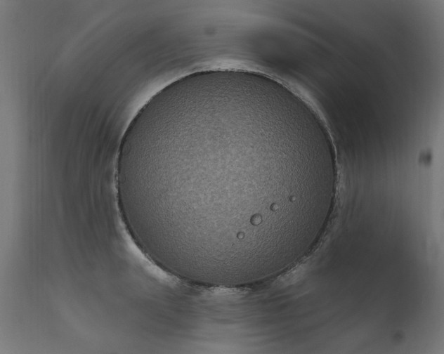 X0000111830847200907301318