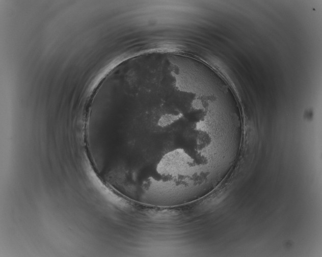 X0000111830851200907301318