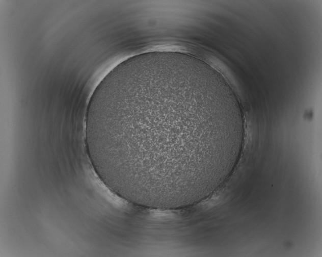 X0000111830852200907301318