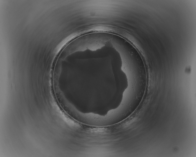 X0000111830853200907301318