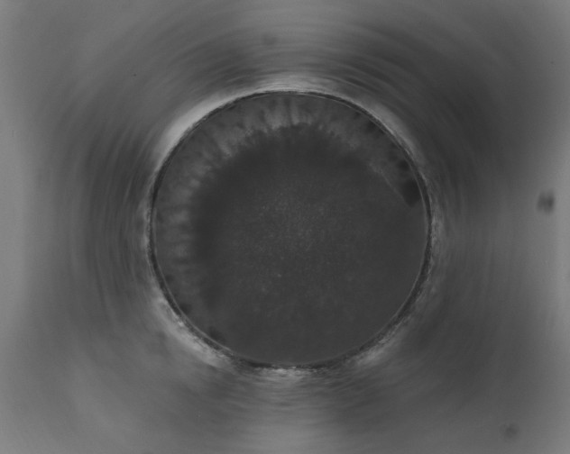 X0000111830854200907301318