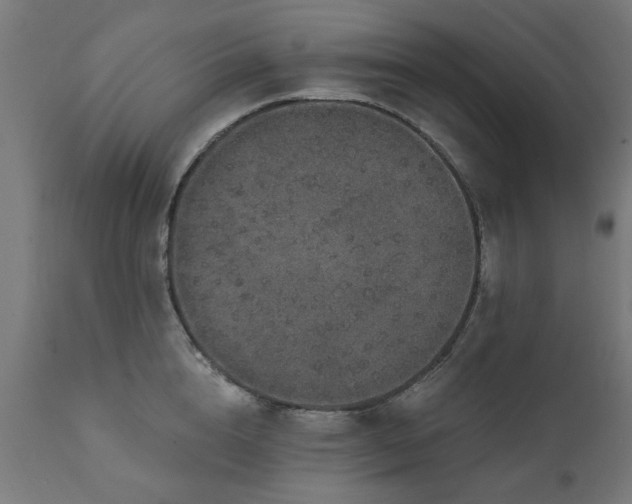 X0000111830856200907301318