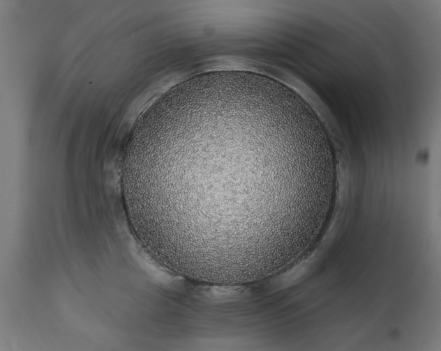 X0000111830857200907301318