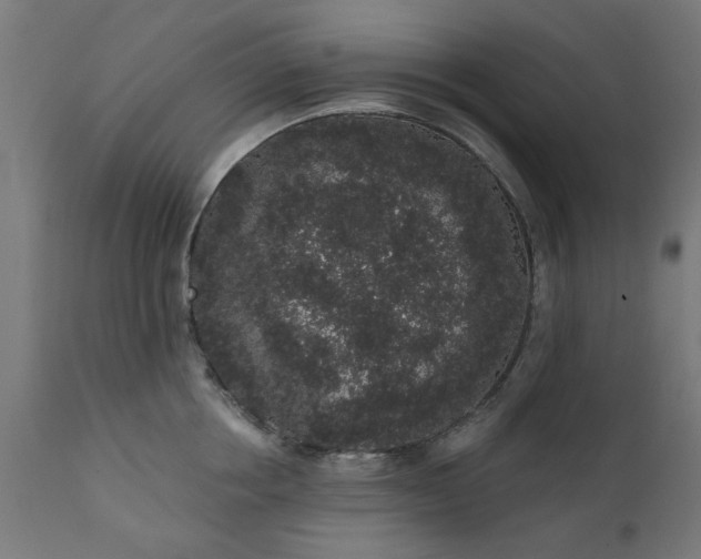X0000111830858200907301318