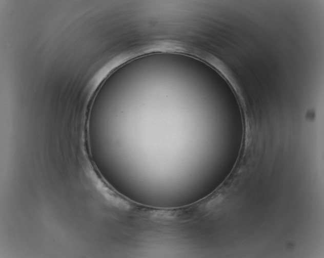 X0000111830861200907301318