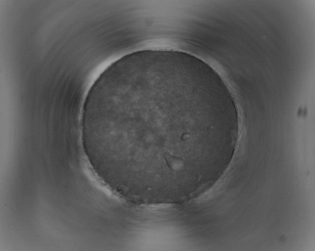 X0000111830864200907301318