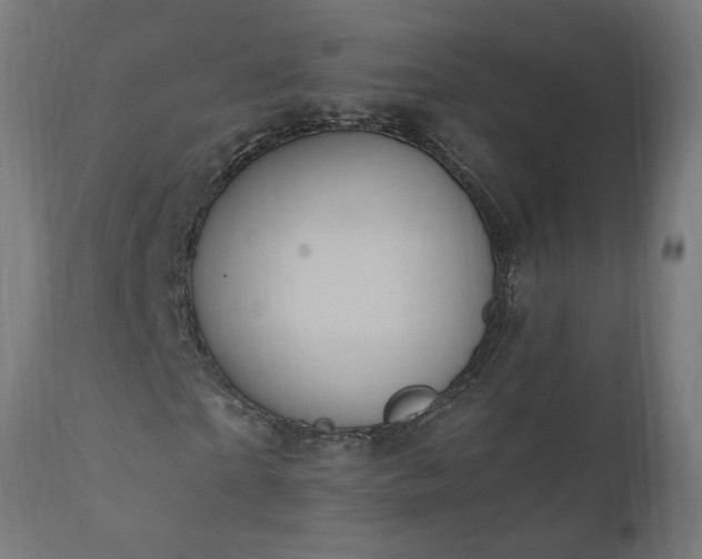 X0000111830865200907301317