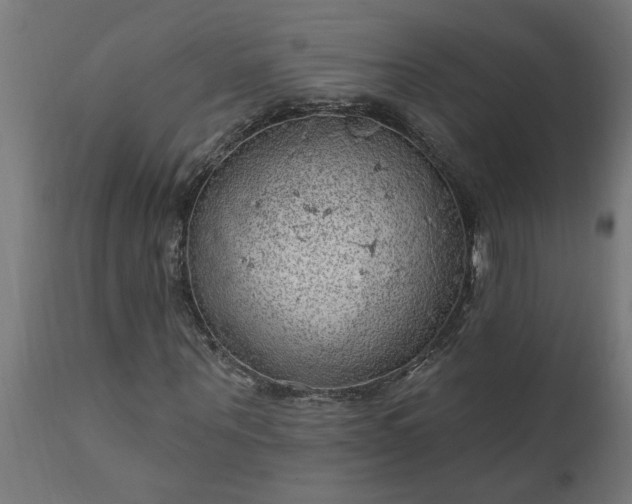 X0000111830867200907301317