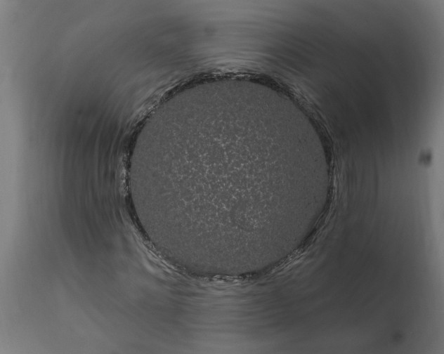 X0000111830868200907301317