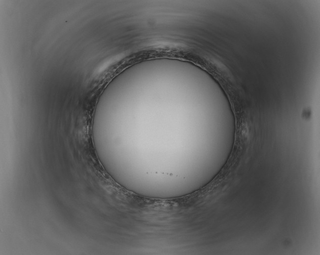 X0000111830869200907301317