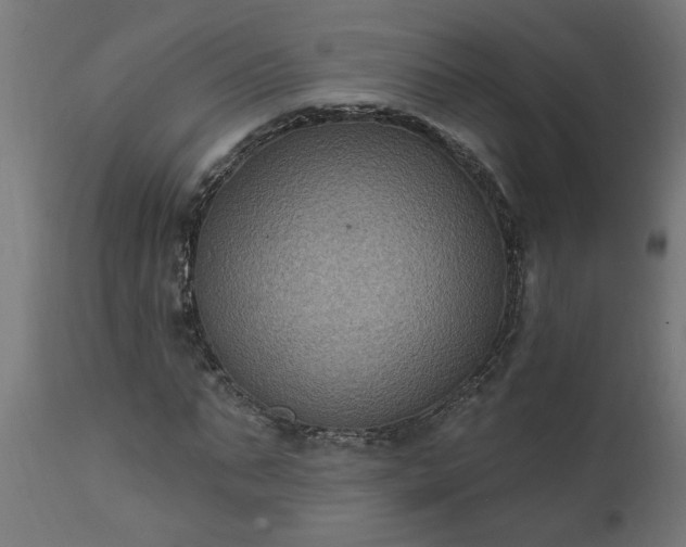 X0000111830871200907301317