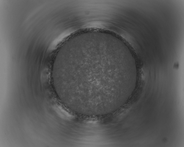 X0000111830872200907301317