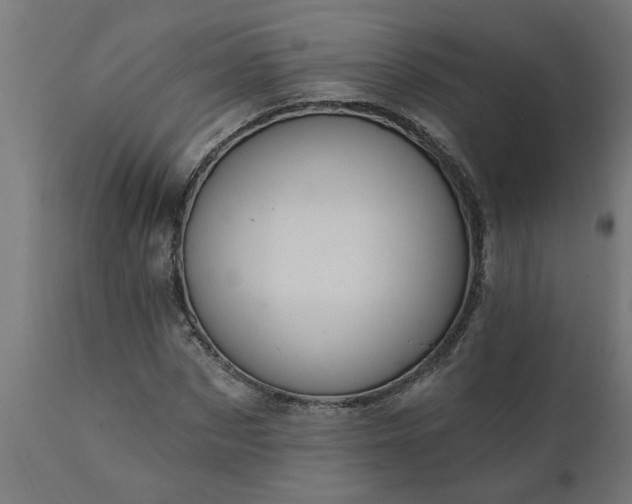 X0000111830873200907301317