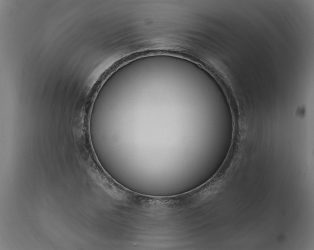 X0000111830875200907301317