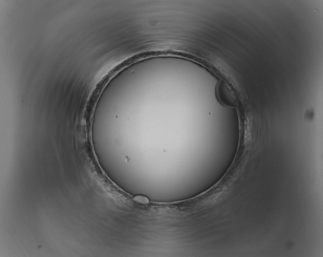 X0000111830876200907301317