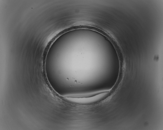 X0000111830877200907301317