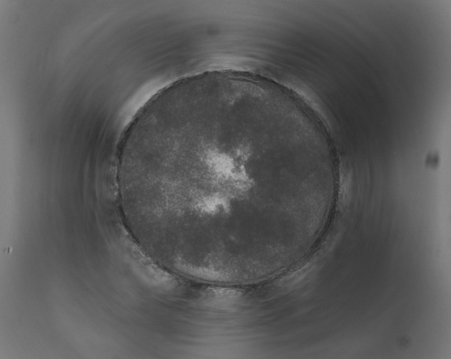 X0000111830878200907301317