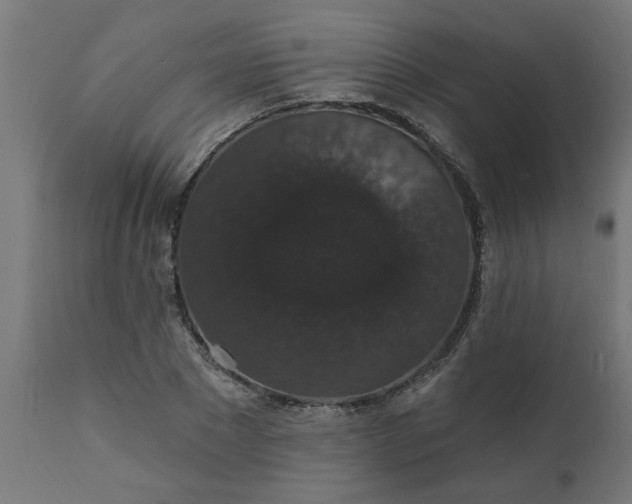 X0000111830881200907301317