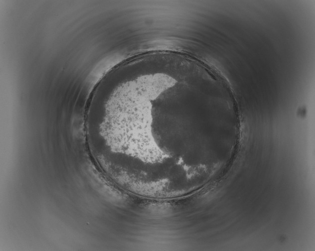 X0000111830882200907301317