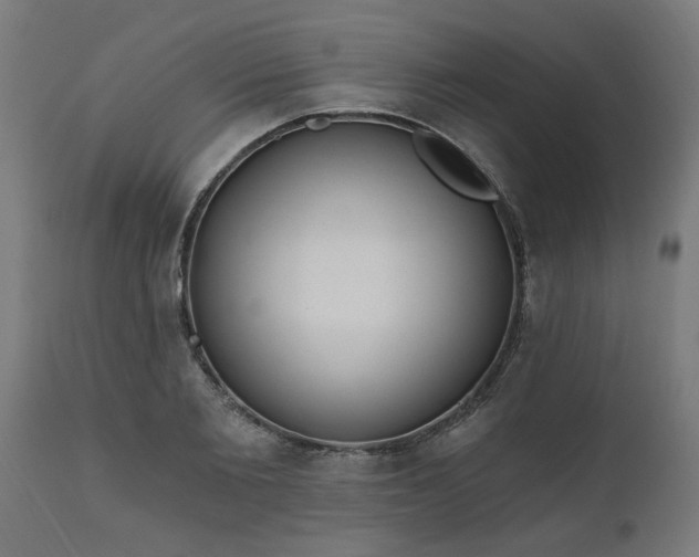 X0000111830885200907301317