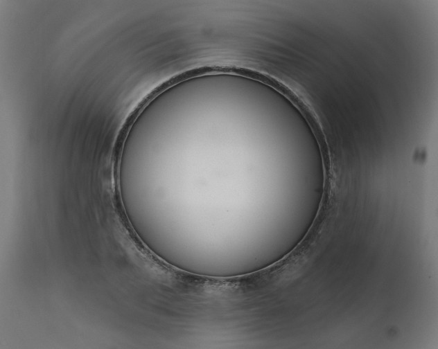 X0000111830887200907301317