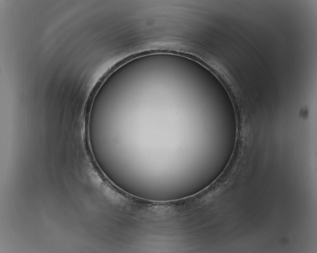 X0000111830888200907301317